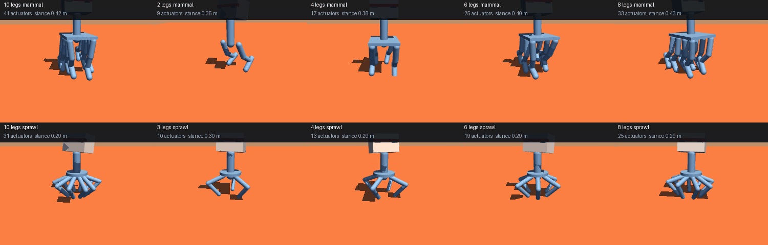 The body zoo: every shape, turning on the spot
