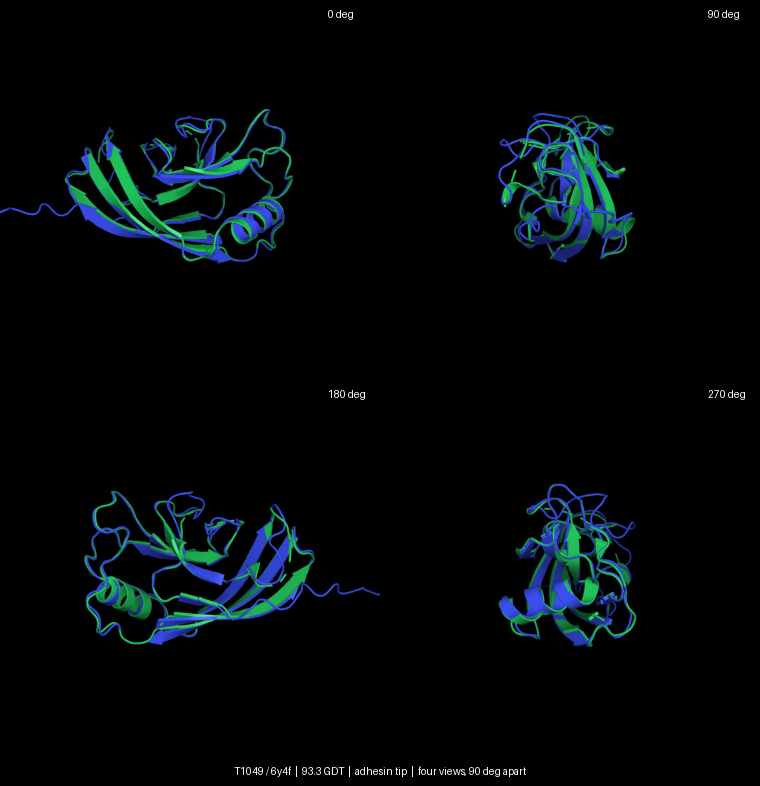 Four views of T1049, 90 degrees apart