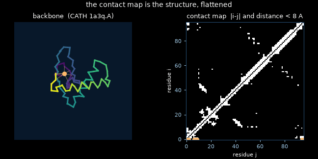 A protein backbone rotating beside its contact map