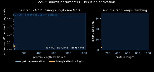 Pair representation and triangle logits growing with protein length
