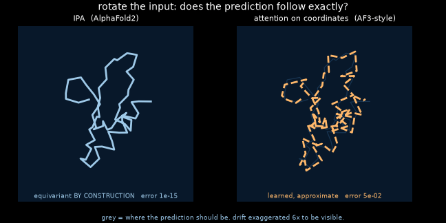 A structure rotating: IPA follows exactly, the AF3-style head drifts