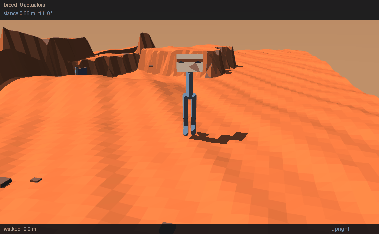 The biped, median run: 4.0 m