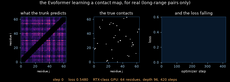 The Evoformer's predicted contact map sharpening as it trains